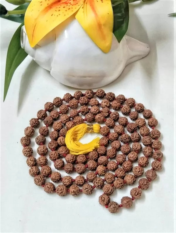 5 Mukhi Rudraksha Japamala