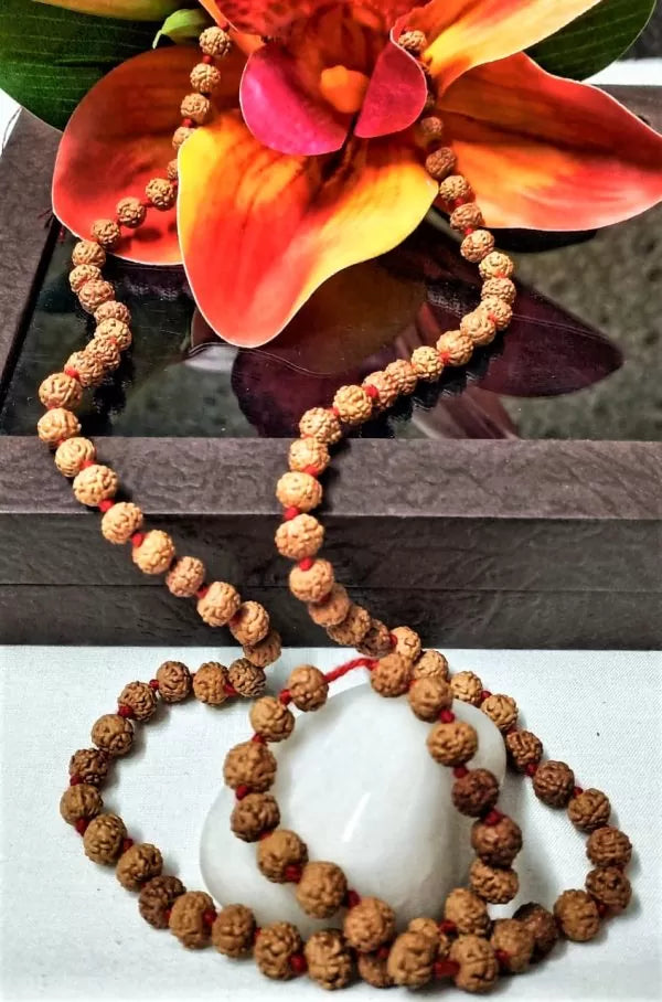 6 Mukhi Rudraksha Japa Mala Indonesia