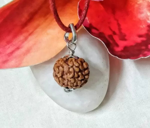 6 Mukhi Rudraksha Beads Indonesia