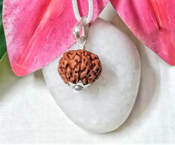 Buy 7 Mukhi Rudraksha Beads