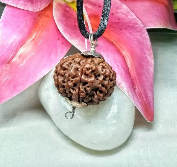 8 Mukhi Rudraksha Nepal Online