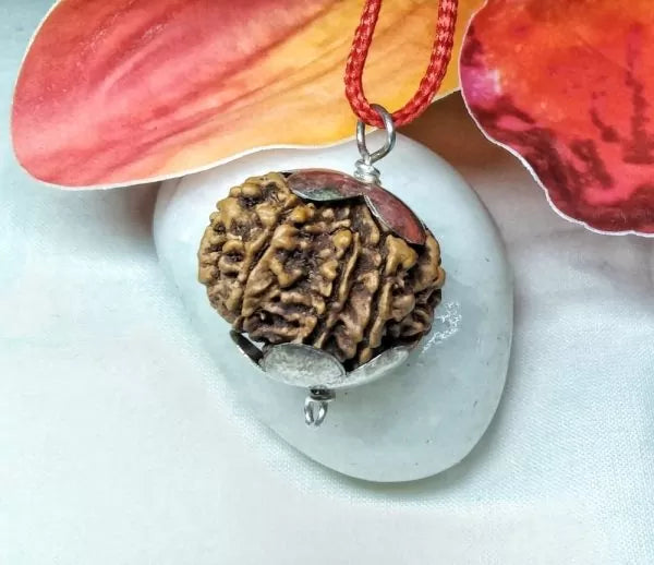 8 Mukhi Rudraksha Nepal 24 mm