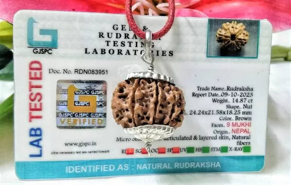 Buy 9 Mukhi Rudraksha Beads