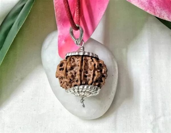 9 Mukhi Rudraksha Nepal