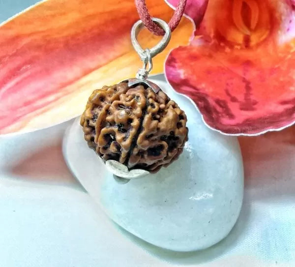 9 Mukhi Nepali Rudraksha