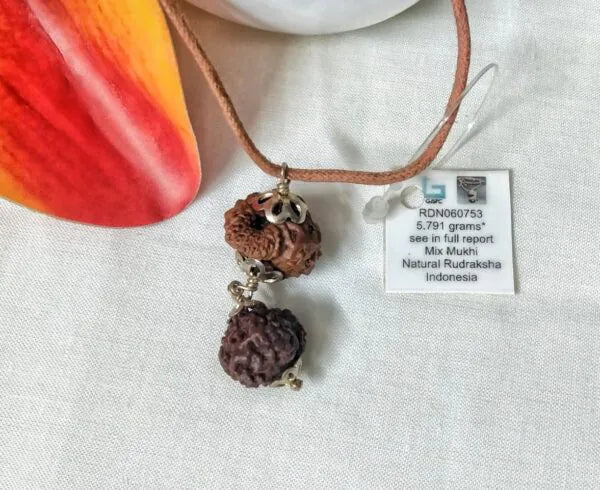 Gyan Rudraksha Mala Indonesia