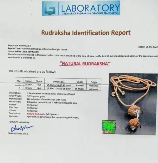 Gyan Rudraksha Mala Indonesia