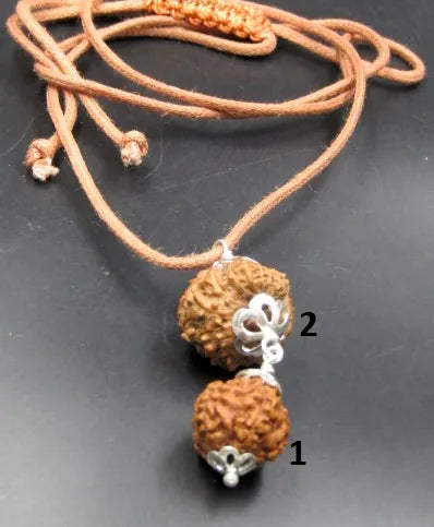 Gyan Rudraksha Mala Indonesia