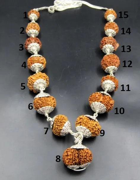 Siddha Rudraksha Mala Nepal 2 to 14 Mukhi