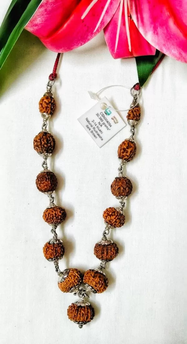 Siddha Rudraksha Mala - 2 to 14 Mukhi Indonesia