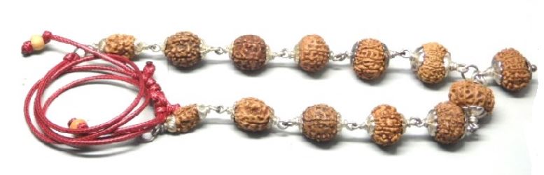 Siddha Rudraksha Mala - 2 to 14 Mukhi Indonesia