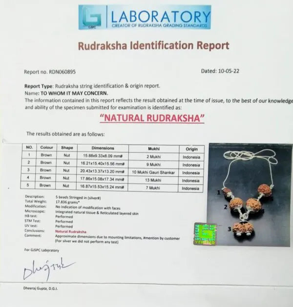 Garbhadhana Rudraksha Mala Indonesia