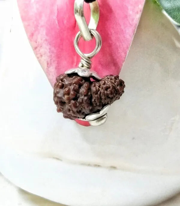 17 Mukhi Rudraksha Indonesia 17 mm