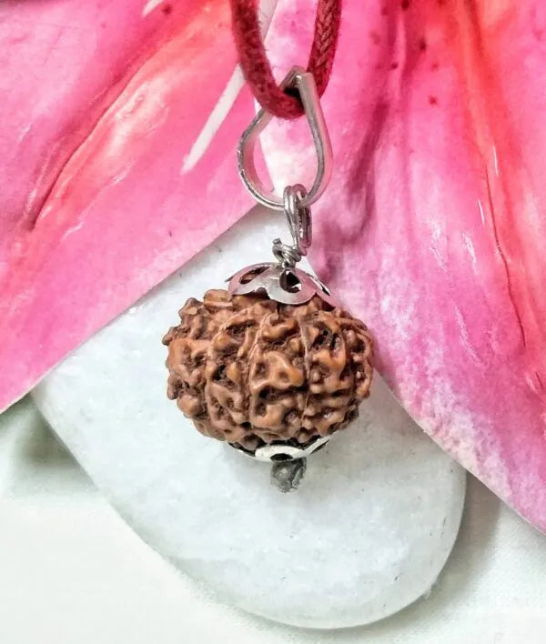 10 Mukhi Rudraksha Indonesia