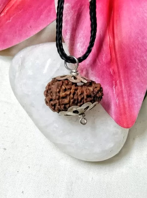 17 Mukhi Rudraksha Indonesia 19 mm