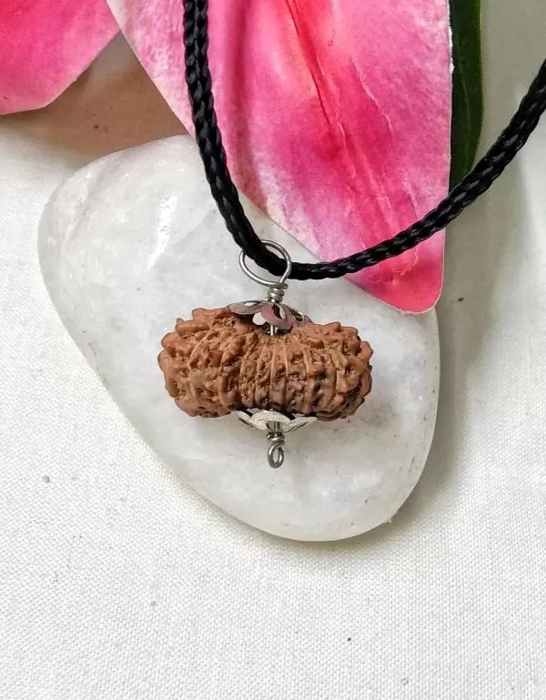 17 Mukhi Rudraksha Indonesia 21 mm
