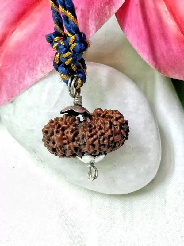 17 Mukhi Rudraksha Indonesia 23 mm