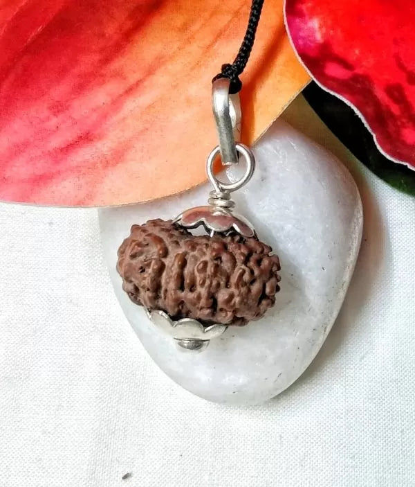 17 Mukhi Rudraksha Indonesia 22 mm