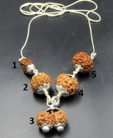 Garbhadhana Rudraksha Mala Indonesia