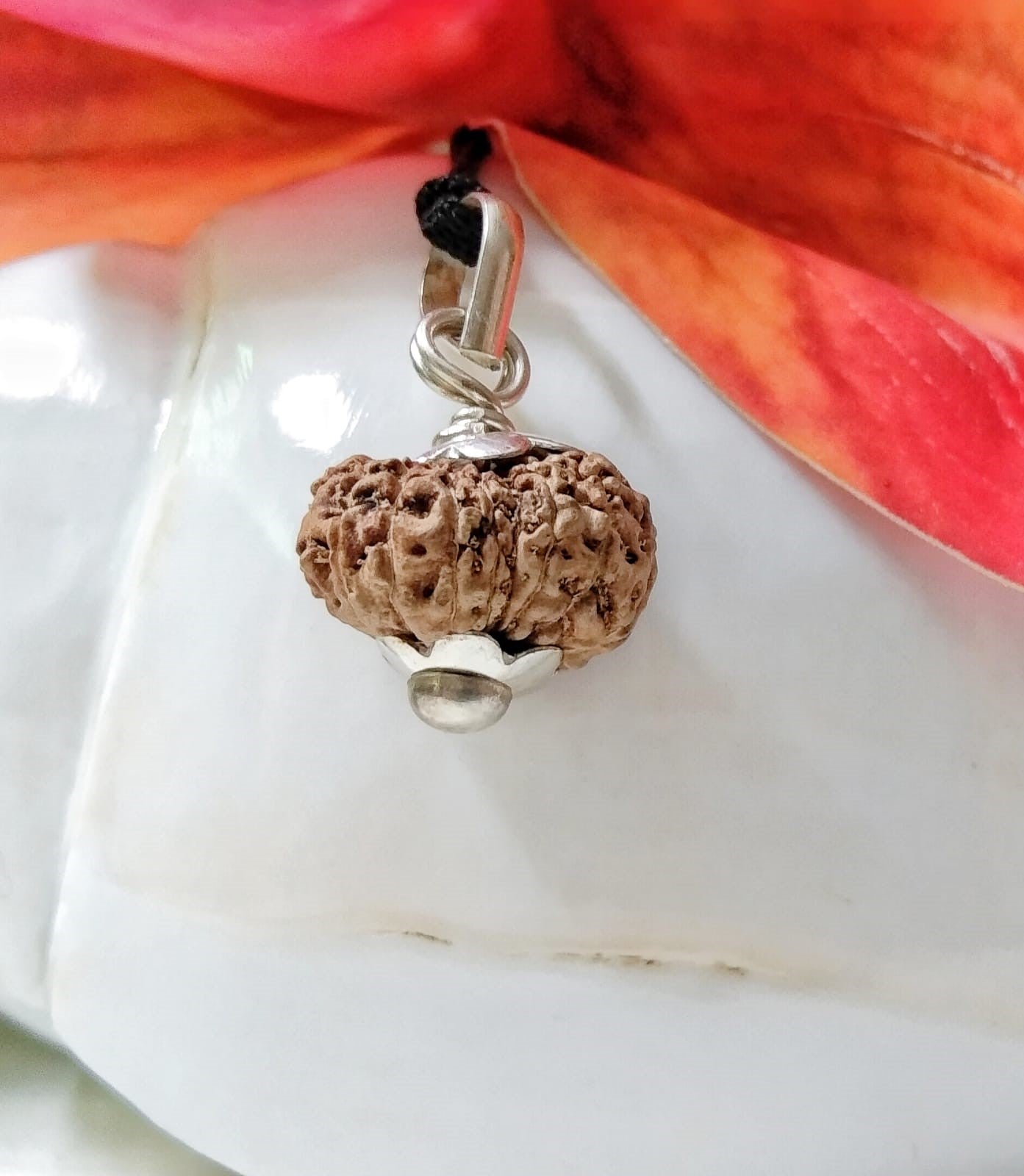 17 Mukhi Rudraksha Indonesia 16 mm