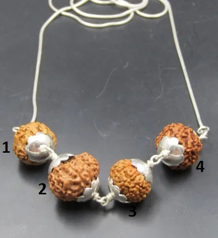 Prem Rudraksha Mala Indonesia