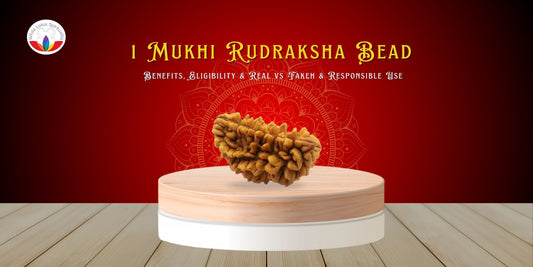 1 Mukhi Rudraksha Complete Guide: Benefits, Eligibility & Real vs Fake