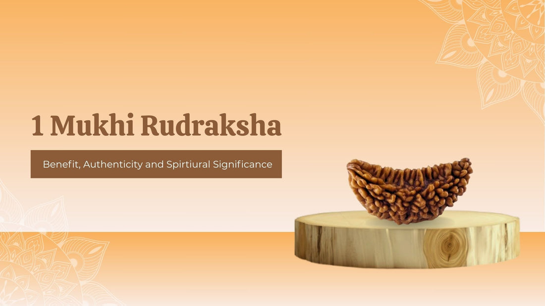 1 Mukhi Rudraksha: Benefit, Authenticity and Spirtiural Significance