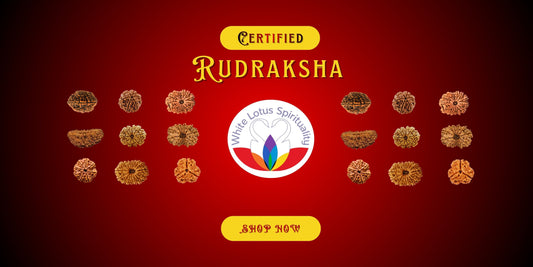 Understanding the Different Mukhi Rudraksha Beads: Which One Suits Your Needs
