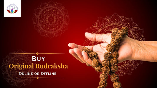 Online vs Offline Rudraksha: Where to Buy Safely