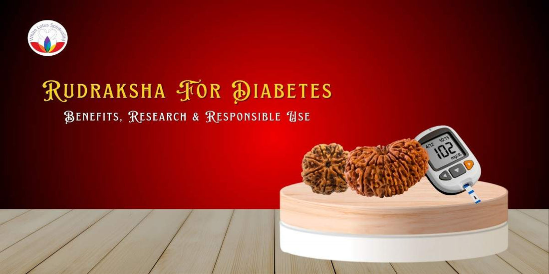 Can Rudraksha Help in Diabetes? Know the Right Rudraksha and Its Effects