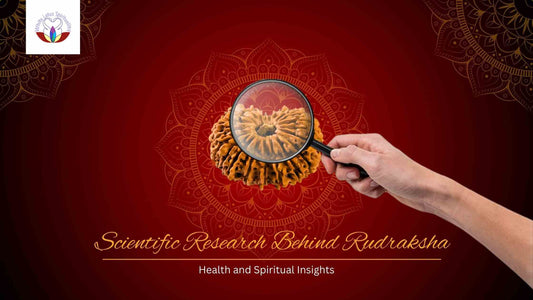 Scientific Research Behind Rudraksha