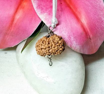 10 Mukhi Rudraksha Indonesia
