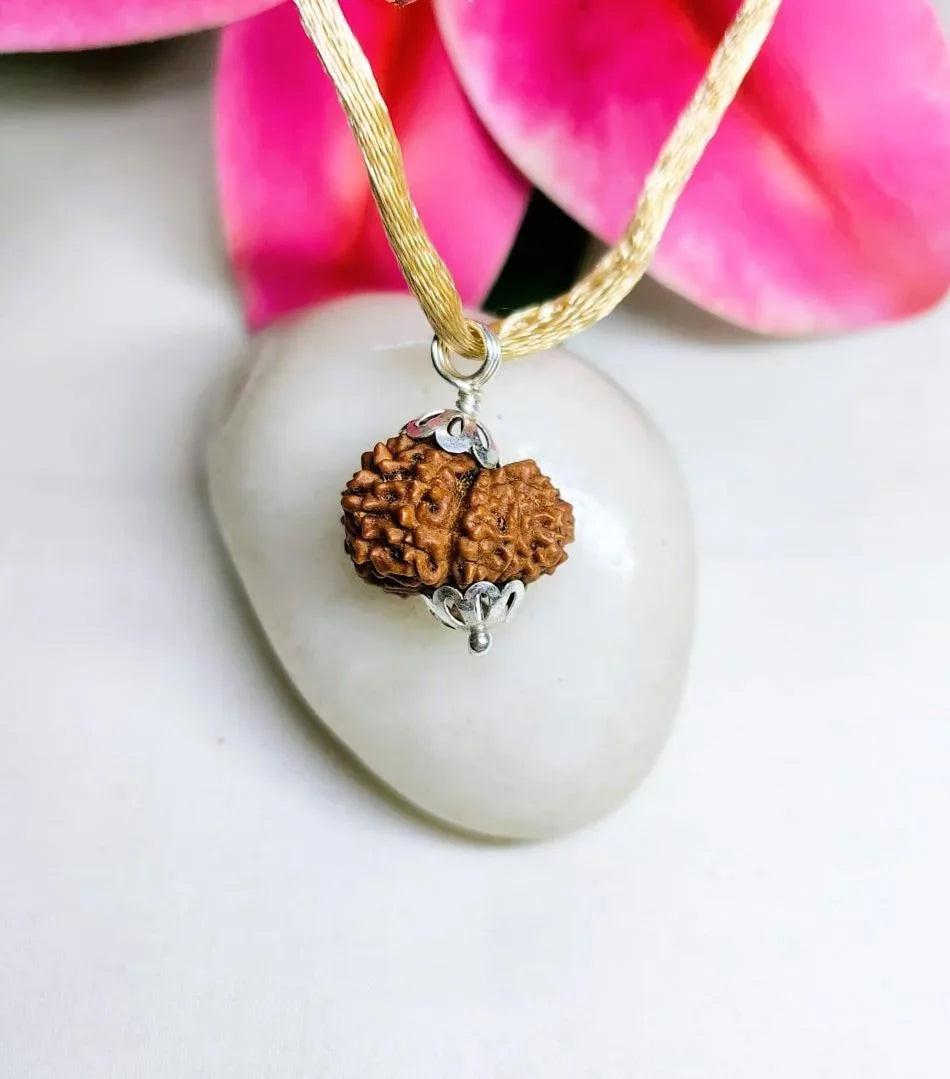 12 Mukhi Rudraksha Indonesia