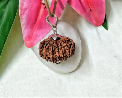 12 Mukhi Rudraksha Nepal 25 mm