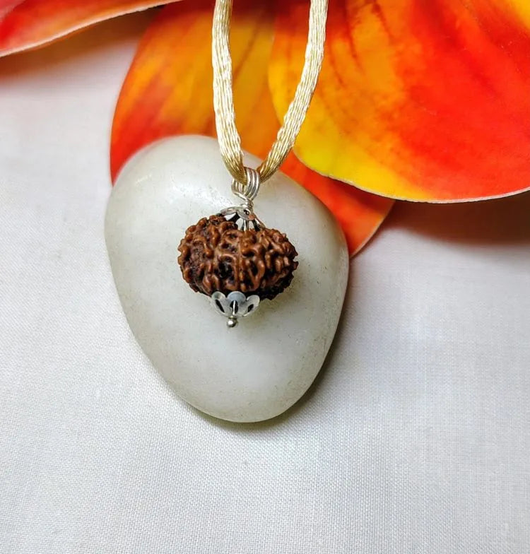 12 Mukhi Rudraksha Indonesia