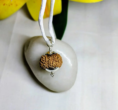 13 Mukhi Rudraksha Indonesia