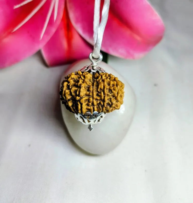 13 Mukhi Rudraksha Nepal 27 mm