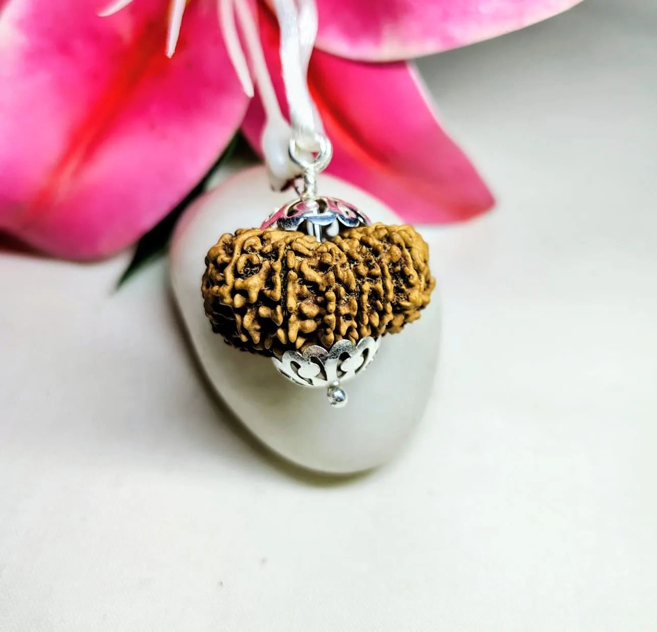 13 Mukhi Rudraksha Nepal 29 mm