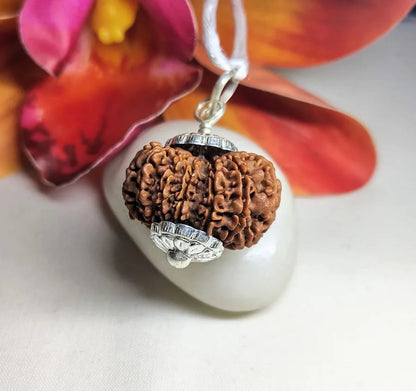 13 Mukhi Rudraksha Nepal 30 mm