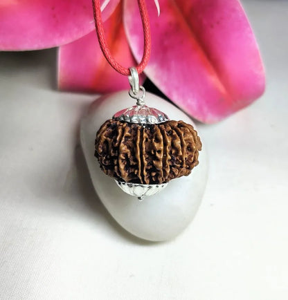 14 Mukhi Rudraksha Nepal 28 mm