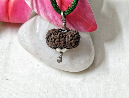 15 Mukhi Rudraksha Indonesia 20 mm
