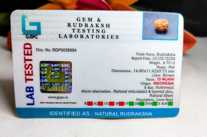 15 Mukhi Rudraksha Indonesia 14 mm