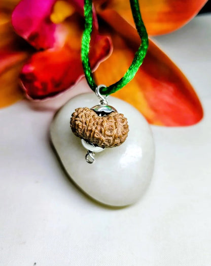15 Mukhi Rudraksha Indonesia 20 mm