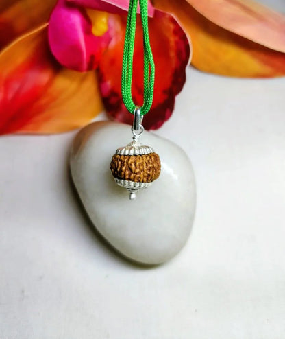 15 Mukhi Rudraksha Indonesia 14 mm
