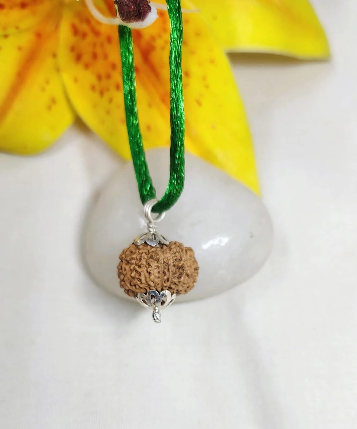 15 Mukhi Rudraksha Indonesia 17 mm