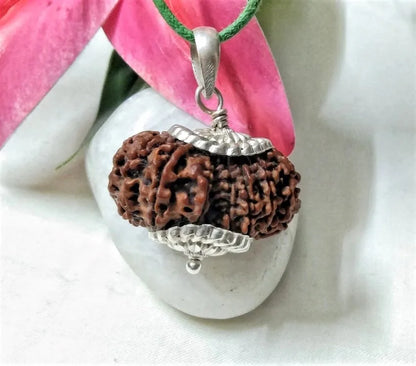 15 Mukhi Rudraksha Nepal 31 mm