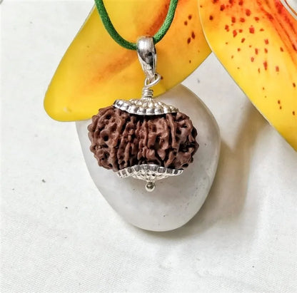 15 Mukhi Rudraksha Nepal 27 mm