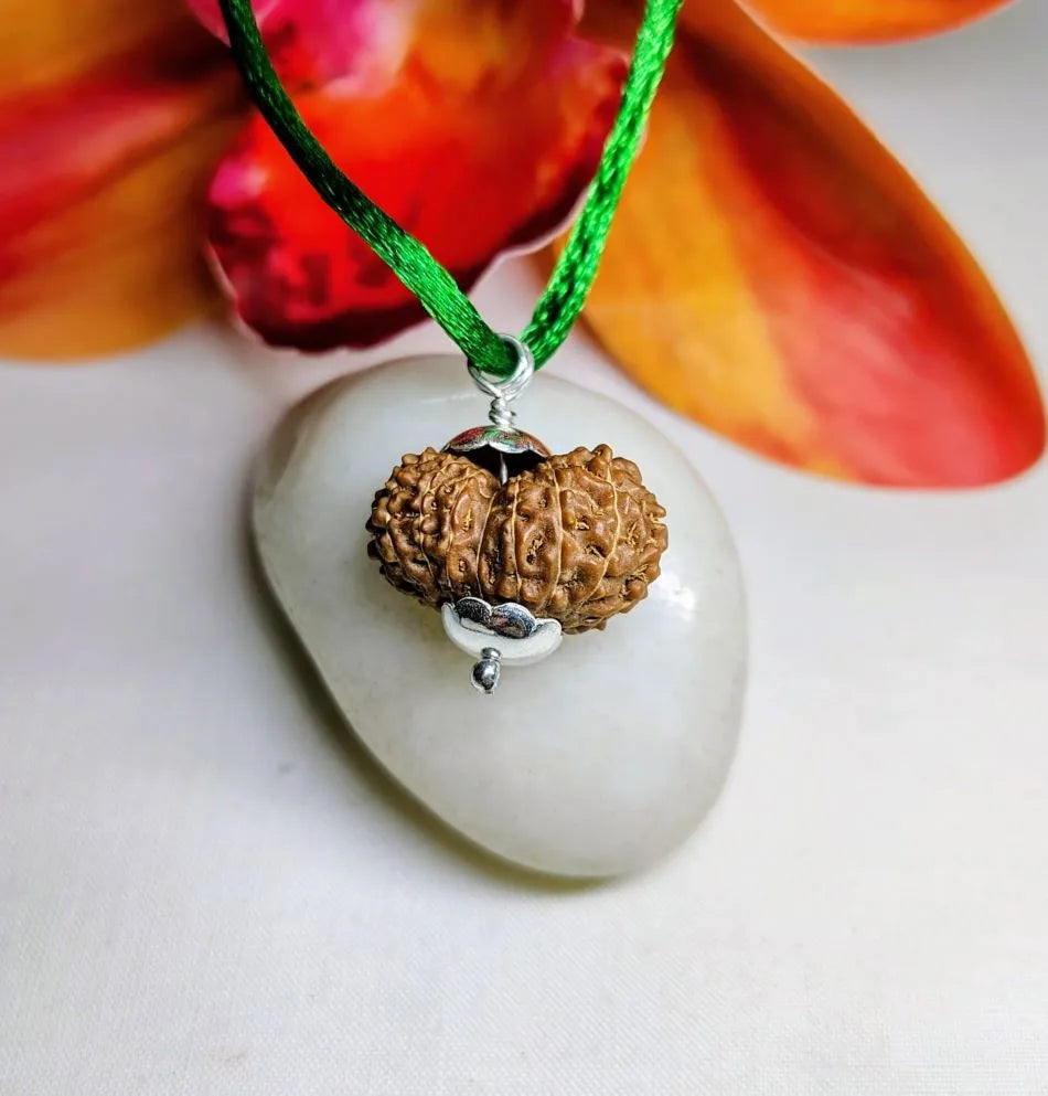 15 Mukhi Rudraksha Indonesia 22 mm