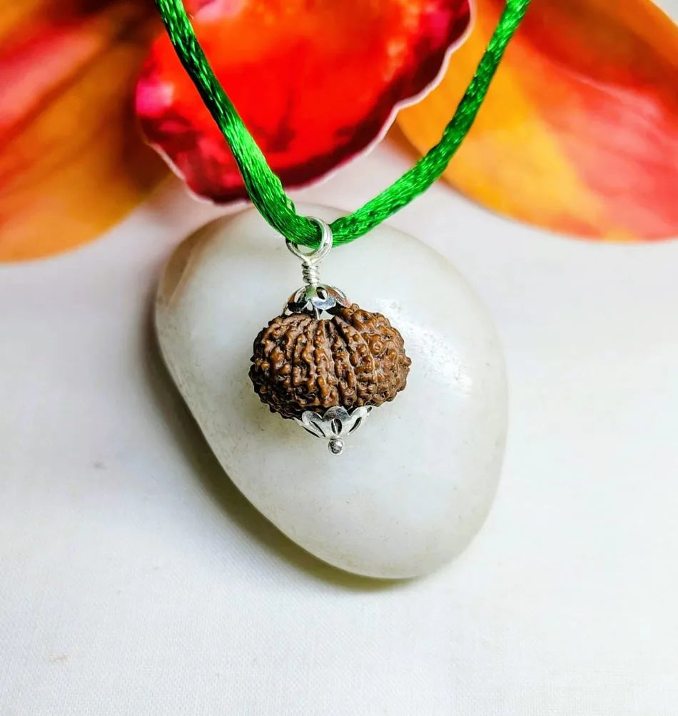15 Mukhi Rudraksha Indonesia 17 mm