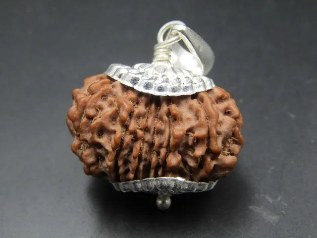 15 Mukhi Rudraksha Nepal 27 mm